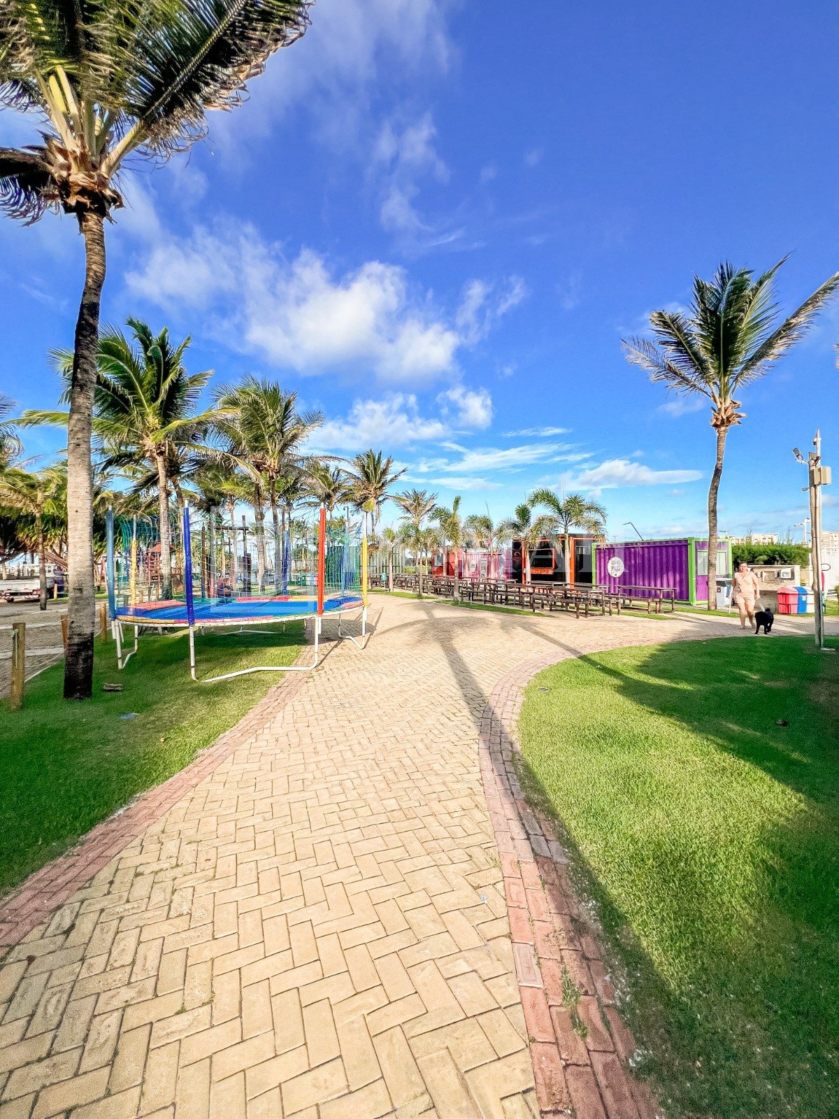 Apartamento 3 suítes, sendo 1 suíte reversível, Porteira Fechada - Foto 4