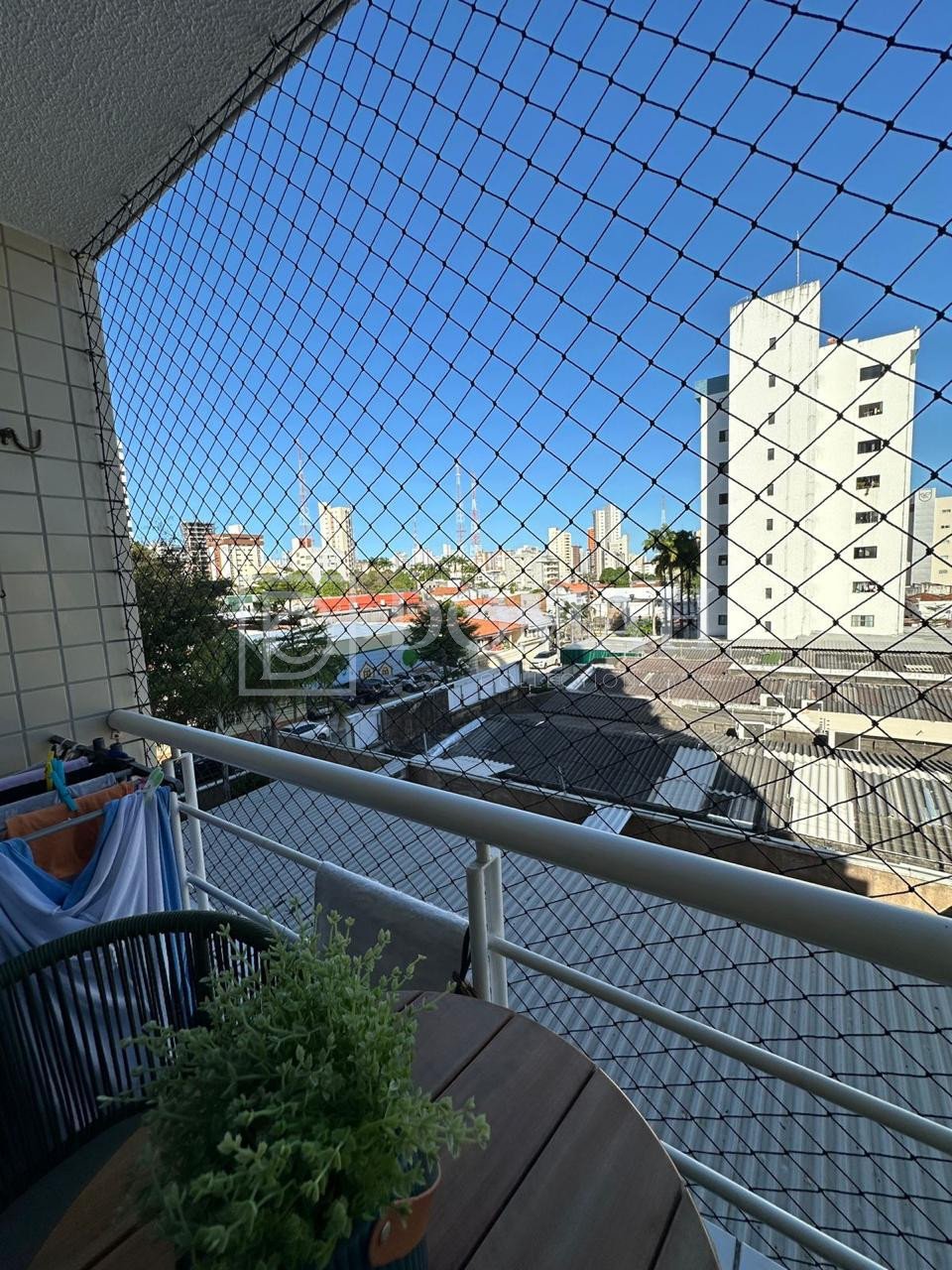 APARTAMENTO DIONISIO TORRES - Foto 3