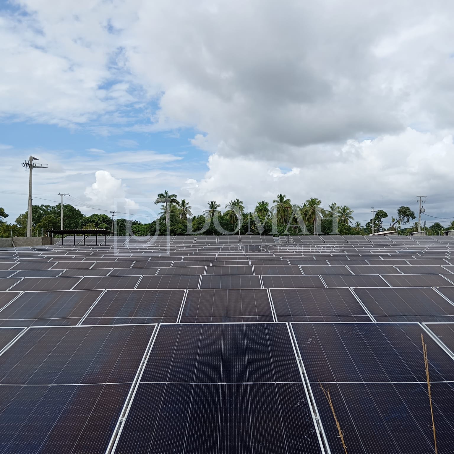 FAZENDA SOLAR PRIMAVERA - Foto 3